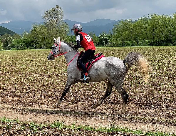 Niki Lotois 2019.webp