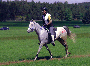 Jassem du Barthas, fils de Djin Lotois plusieurs fois Top Five CEI*** et CEI** , performeur Endurance**, Jean-Philippe Frances