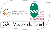Logo GAL Vosges du Nord V4.png