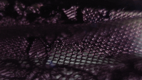 fabric-scout-background