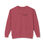 Thumbnail: Accelerated Dragon Premium Long Sleeve T-Shirt