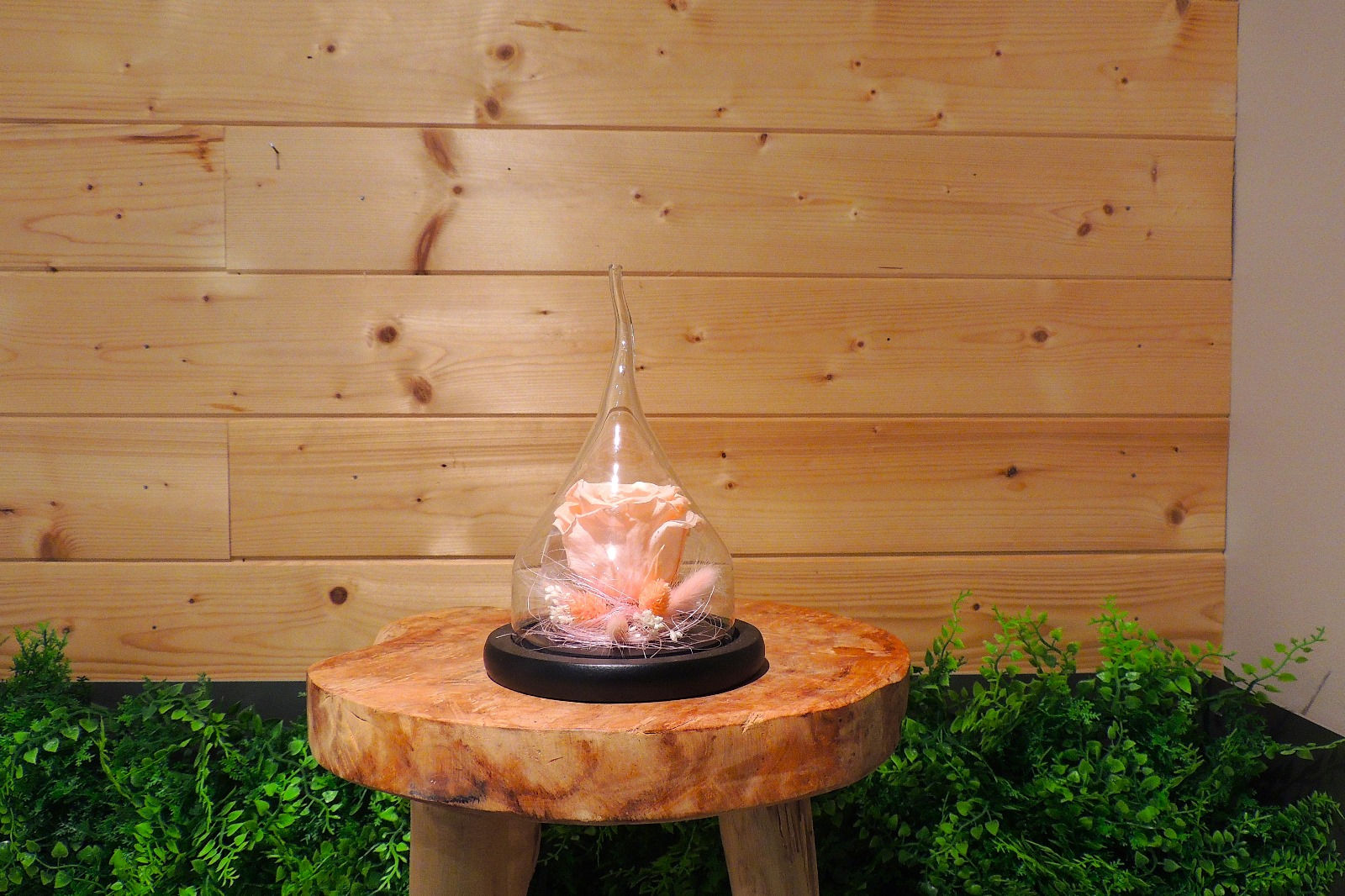 Rose stabilisée Pêche Goutte