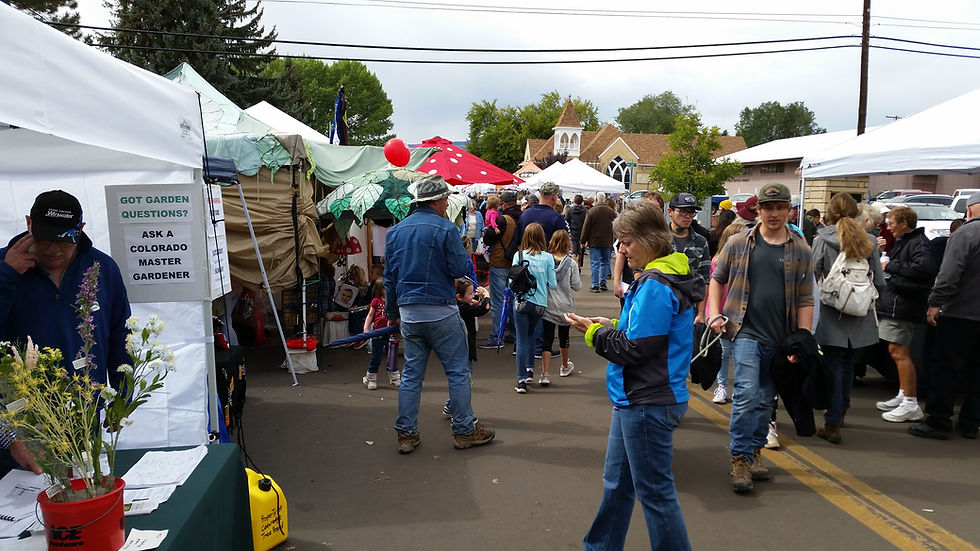 Applefest Day 2 Schedule of Events 2026