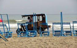 10357119_10202249344739875_4941465918352