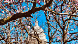 Capitol Hill, Washington D.C