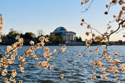 Tidal Basin, Washington, D.C