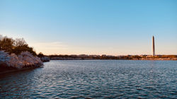 Tidal Basin, Washington, D.C