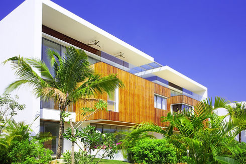 ヤシの木のある庭