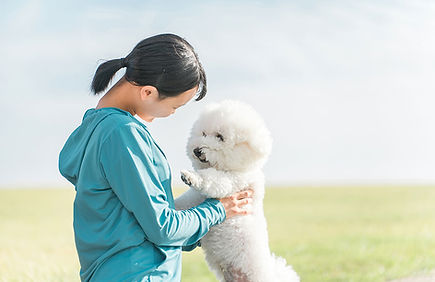 飼育相談・しつけ相談
