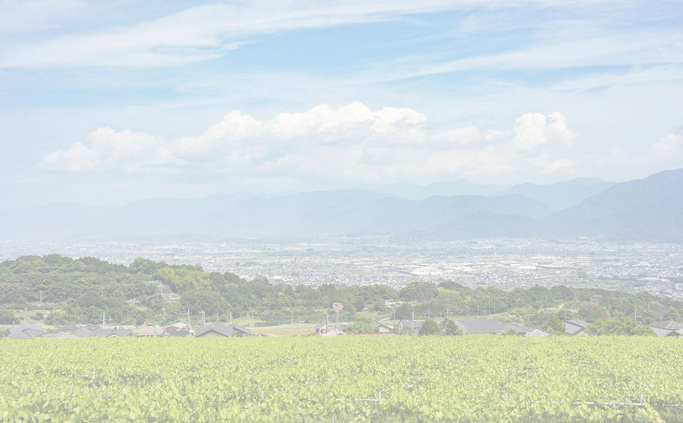 南アルプス市の風景
