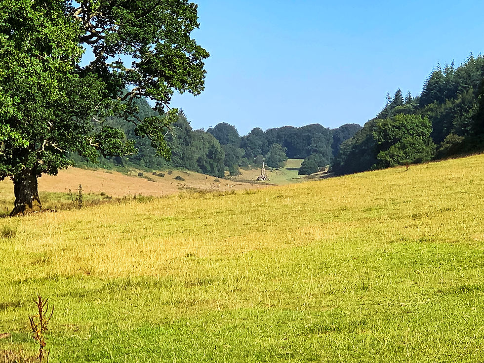 St Peter's pump from the Stour Valley Way