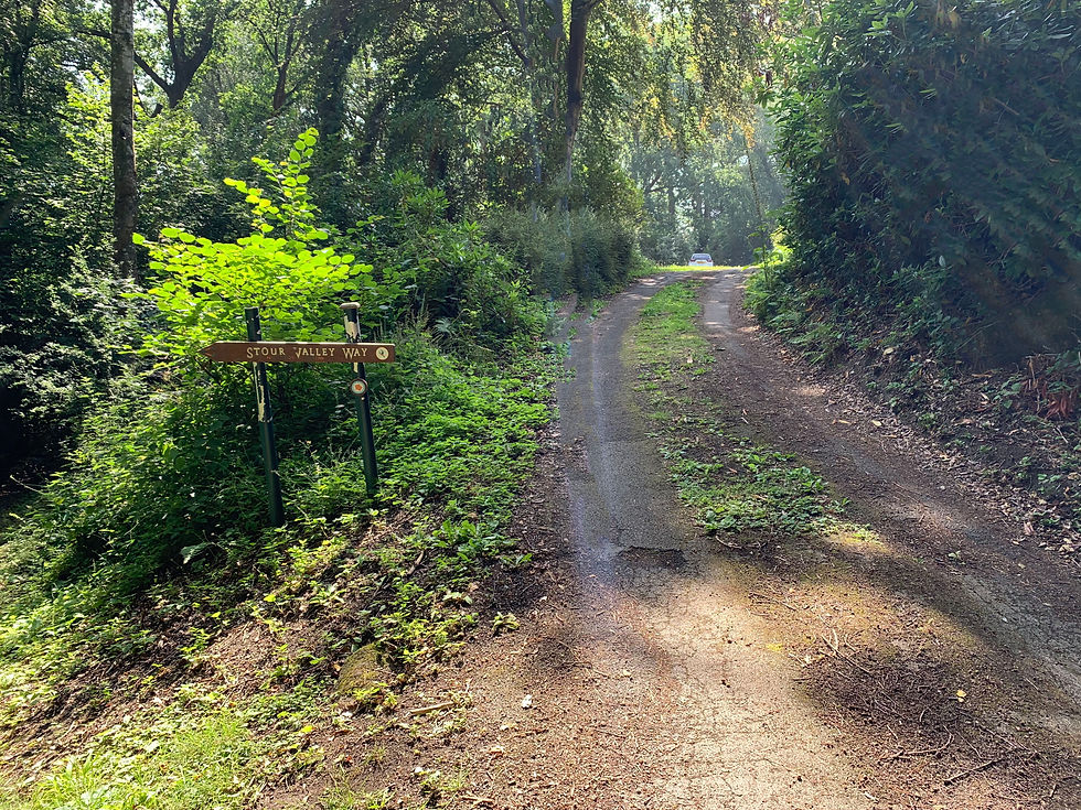 The diversion of the Stour Valley Way, the earthworks are along the drive to the right