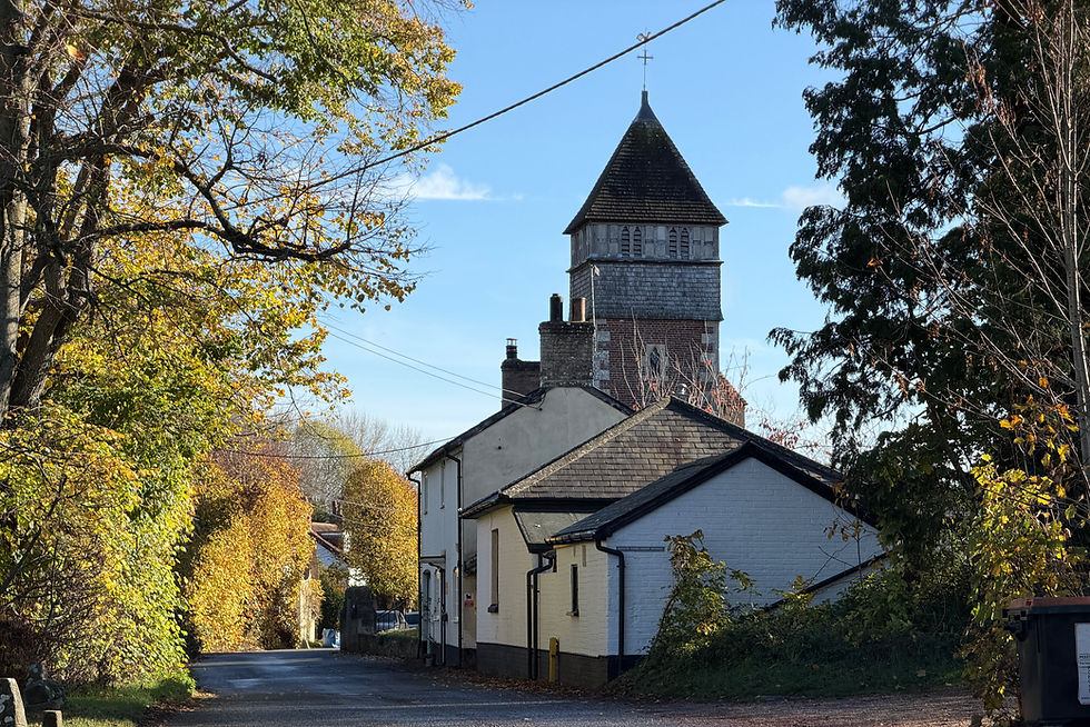 The village of Netherhampton