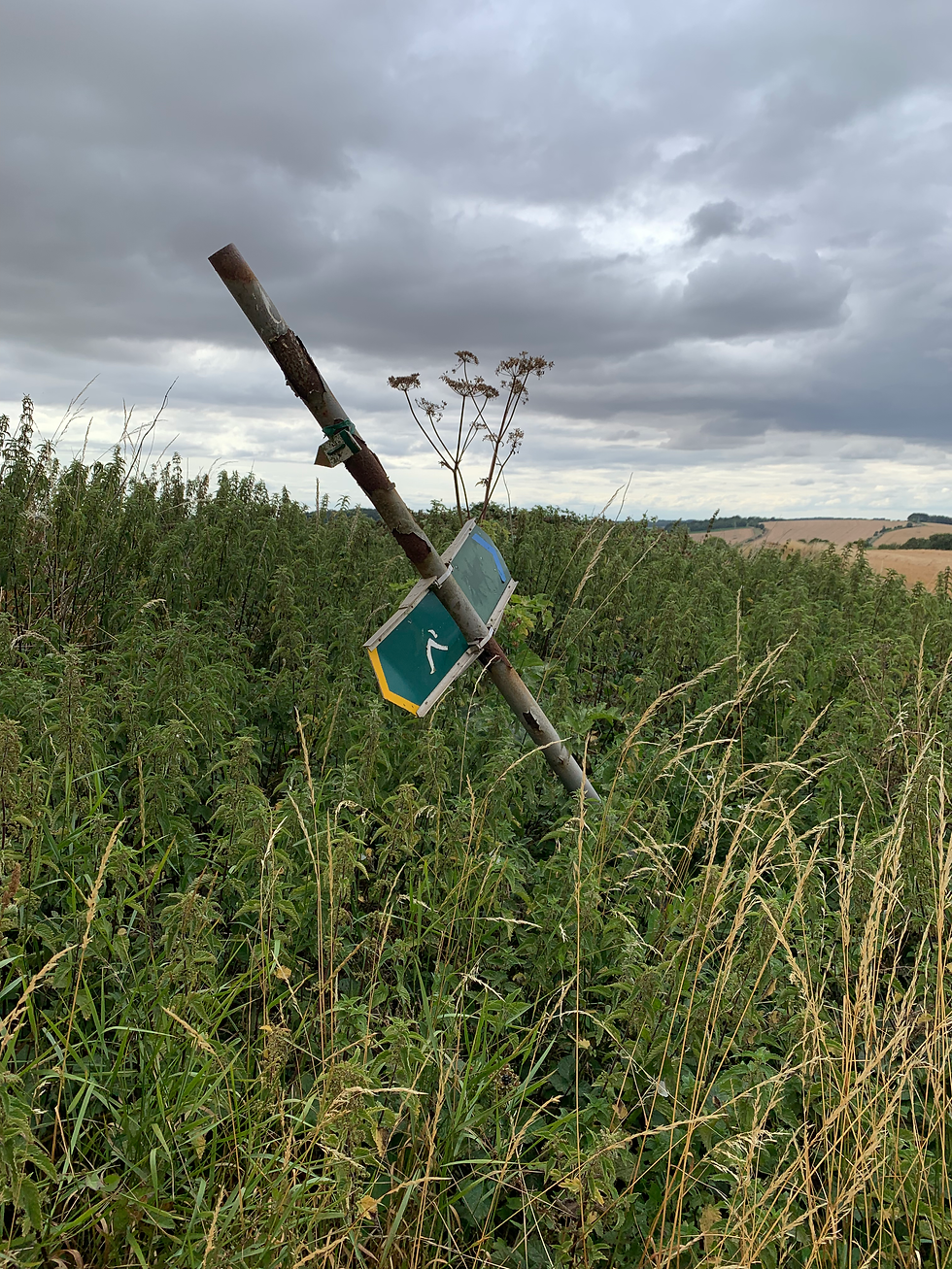 An Asset, Durnford Parish