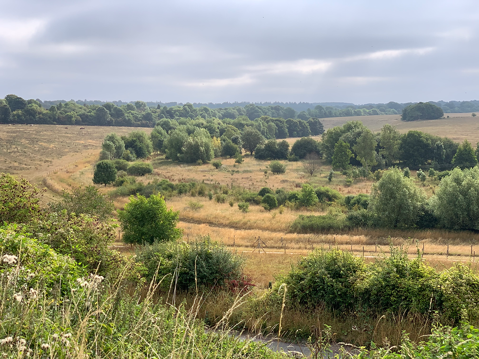 The dry river bed of the Bourne, Newton Tony parish