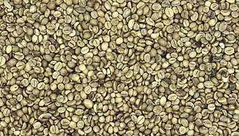 commodity robusta.jpg