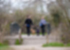 Wild Walkers Club 2021-7687.jpg