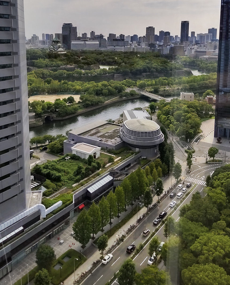 2026年8月29日大阪•現代レイキ交流会に参加しました。
