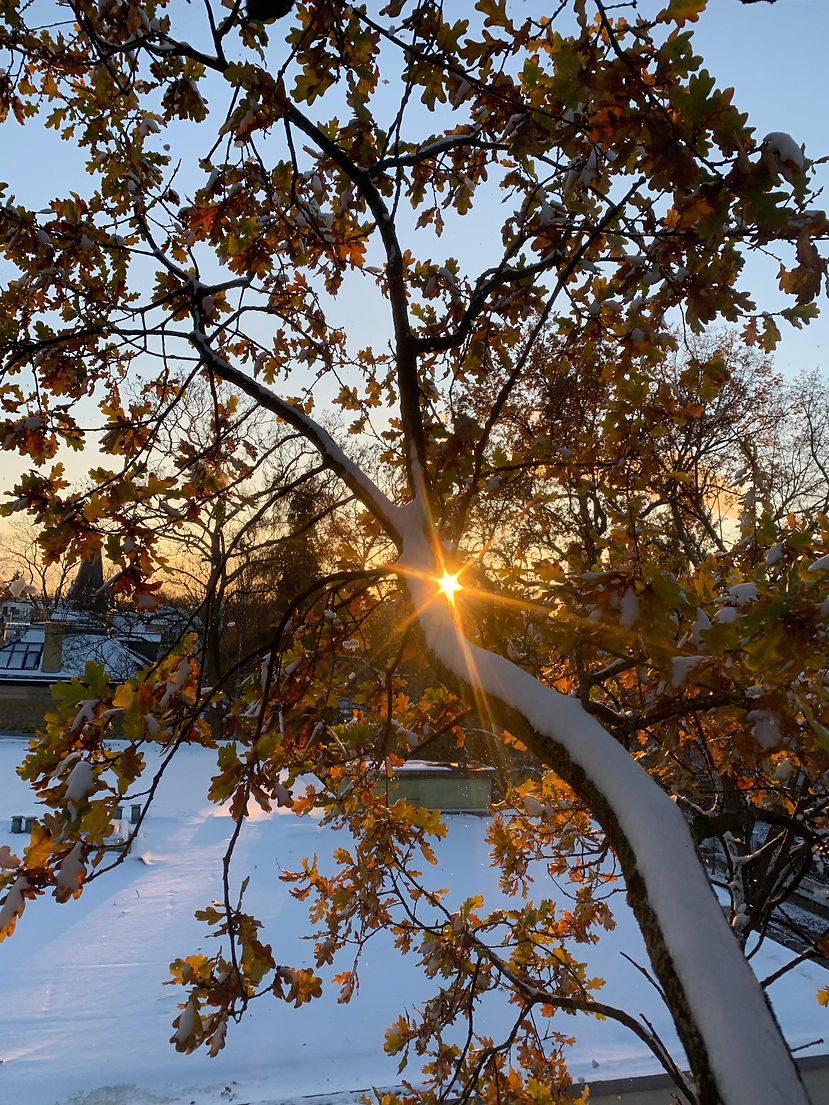 WhatsApp Image 2024-10-22 at 18.48.26.jpeg