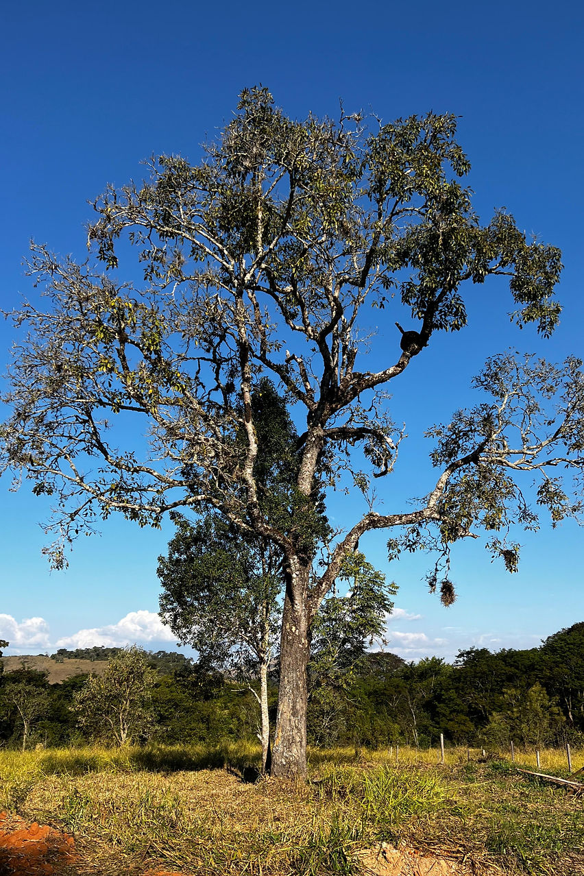 WhatsApp Image 2024-10-22 at 19.07_edited.jpg