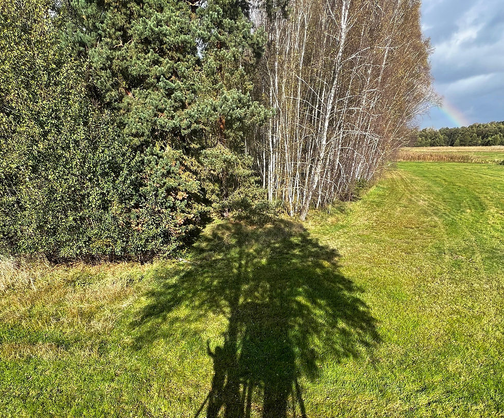 WhatsApp Image 2024-10-15 at 22.33_edited.jpg