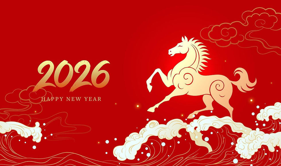 Happy Chinese New Year! / Let's Go Team USA!