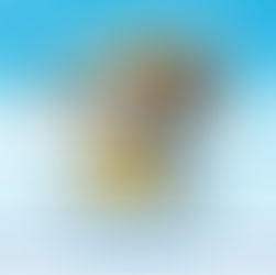 Guru Nanak Jayanti Free CDR File Download | Fully Editable CorelDRAW Design | Guru Nanak Jayanti CDR Design Free Download | Editable Corel File for Printing | Guru Nanak Jayanti Festival Poster CDR