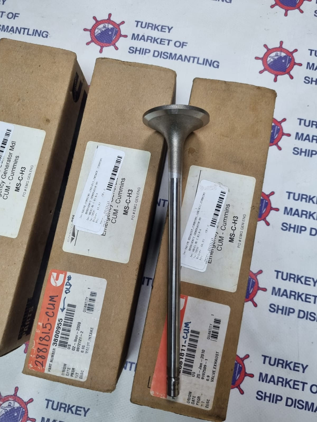 Cummins 3800955 Intake Valve 