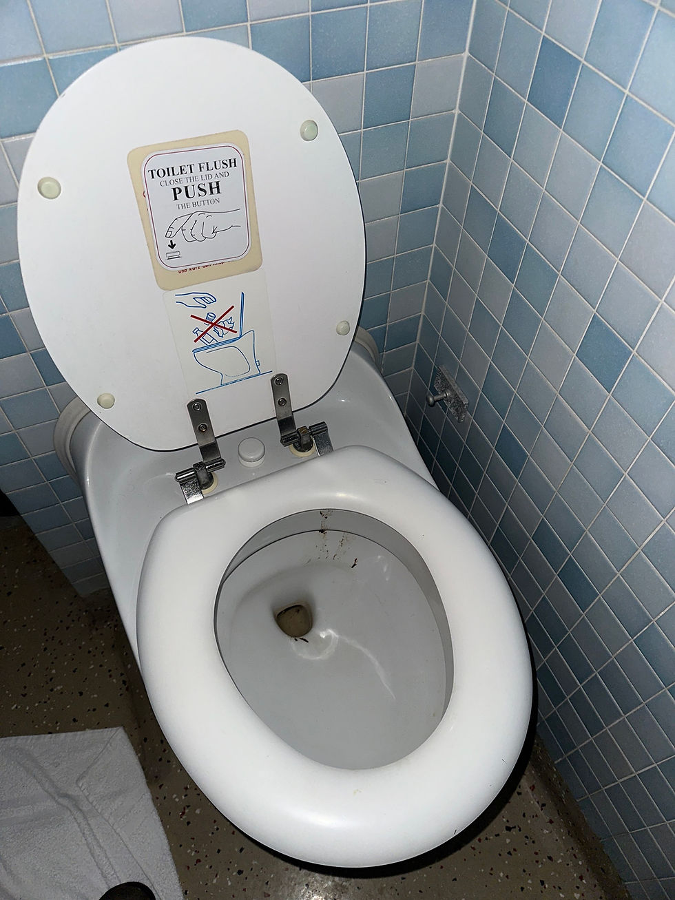 Thumbnail: Evac Vacuum Toilet Wall 5775500 evac sanitary turkey