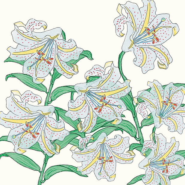 IMG_0943.png