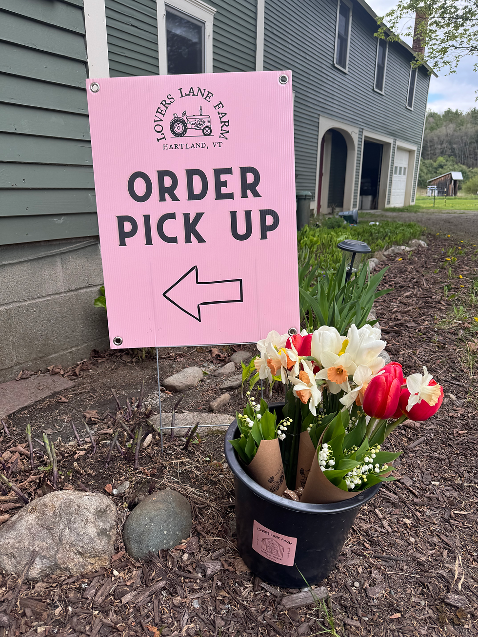 Thumbnail: Springtime arrangement 🌼