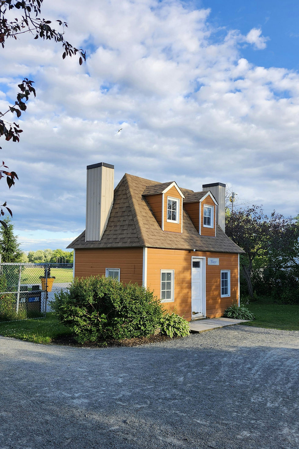 A compact house set against a large tree, illustrating the appeal of tiny homes for intentional living and low maintenance.