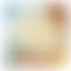 ちょこんとお鼻がキュートすぎるスコティッシュちゃん🐾お客様ご紹介🐾