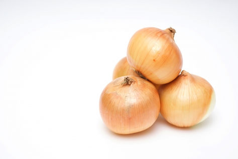 犬が食べてはいけない食べ物一覧!危険性と中毒症状【完全版】