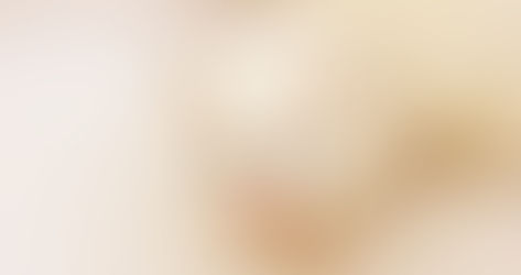 【おうち時間に癒しを】一人暮らしでも飼いやすいペット集