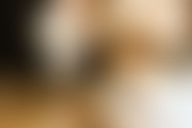 【愛犬の食欲不振】犬がごはんを食べないのときの原因と対処法