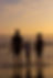 beach-4455433.jpg