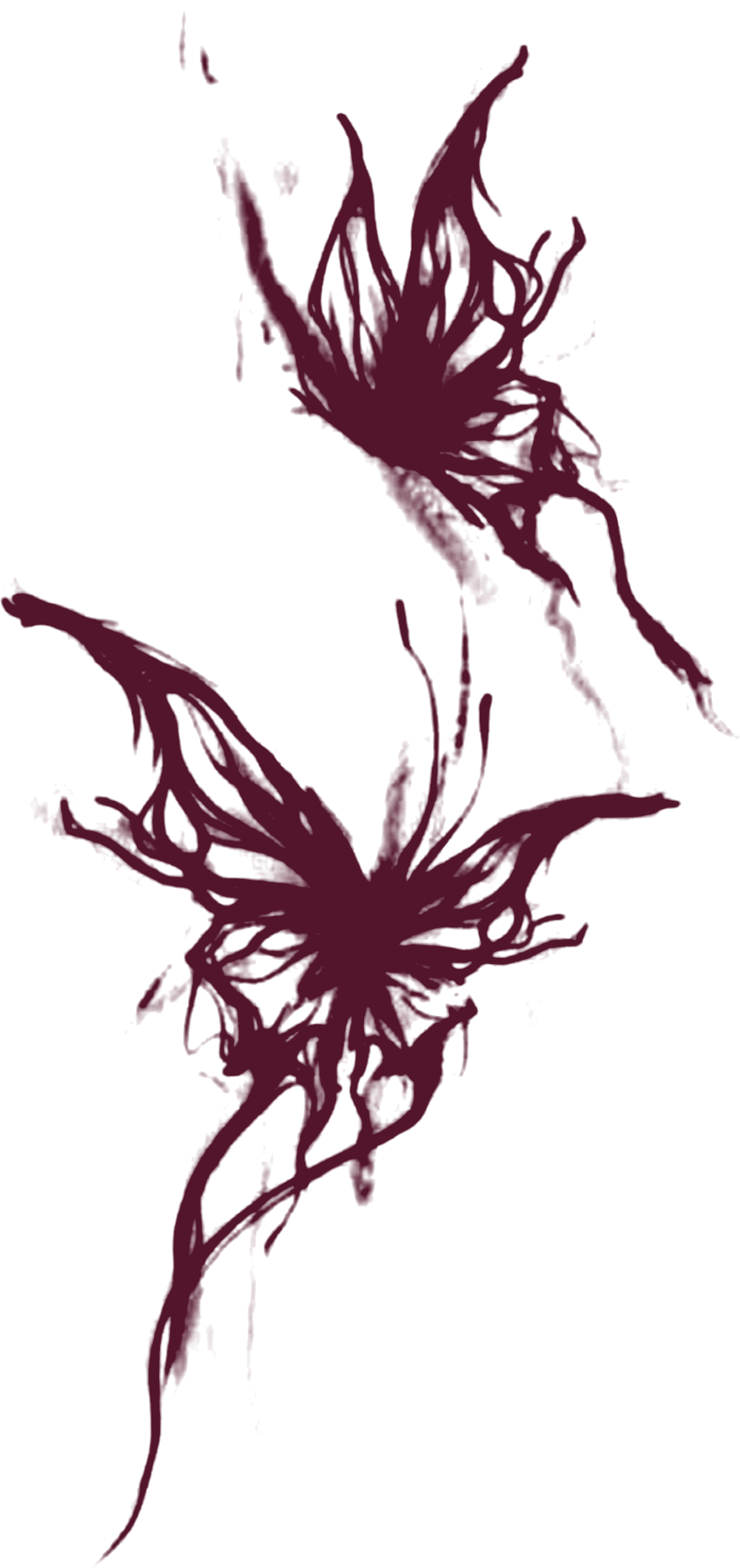 2.png