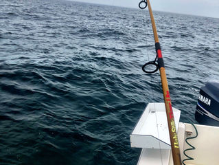 Fish On!