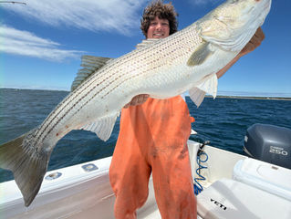 vertical jigs and topwater