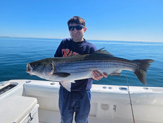 Nice Fish Nice Weather