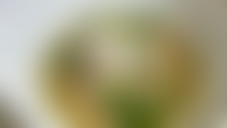 Italian Wedding Soup