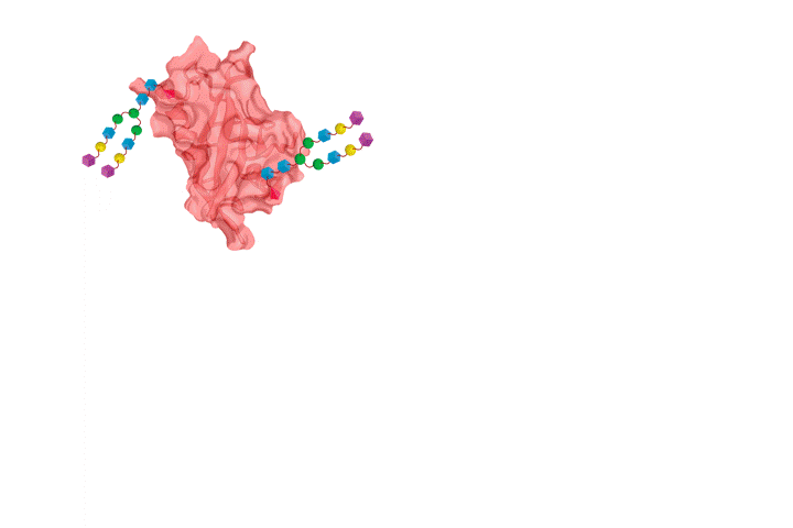 Glycoforms small.gif