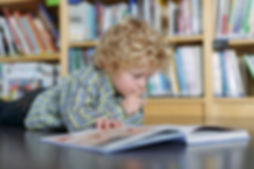 Blonde Boy Reading