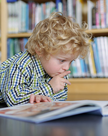 Blonde Boy Reading