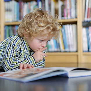 Blonde Boy Reading