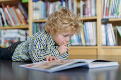 Blonde Boy Reading