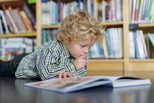 Blonde Boy Reading