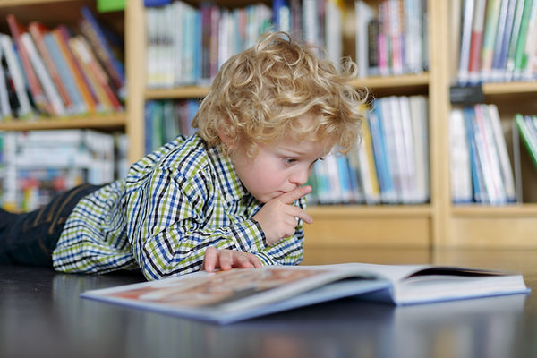 Blonde Boy Reading