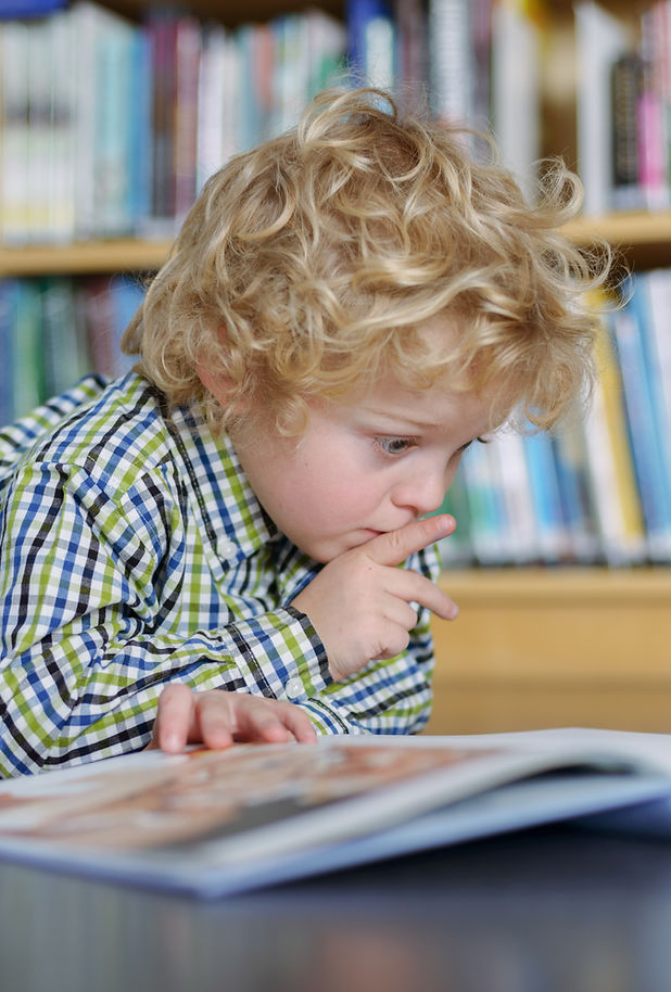 Blonde Boy Reading